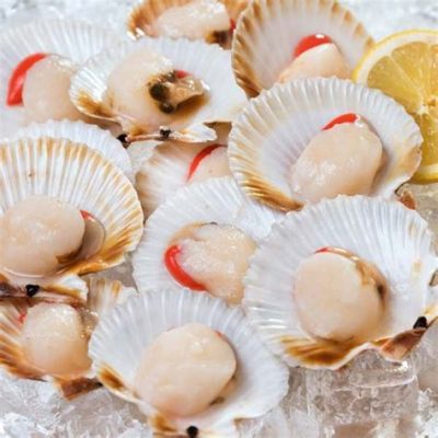  Queen Scallop: Can This Bivalve Really Reign Over Your Seafood Plate?